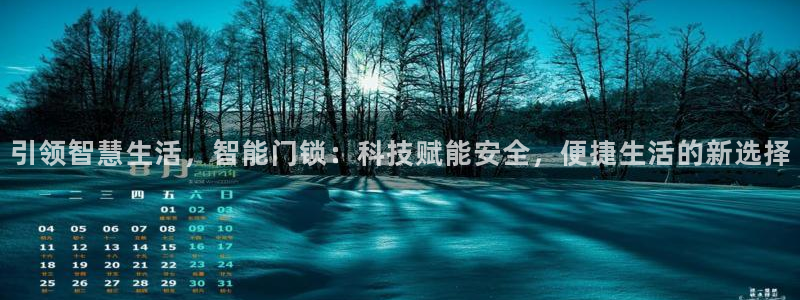金年会退款：引领智慧生活，智能门锁：科技赋能安全，便捷生活的