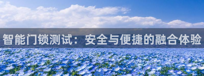 金年会平台是不是大台子：智能门锁测试：安全与便捷的融合体验