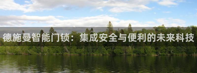 金年会金字招牌信誉至上：德施曼智能门锁：集成安全与便利的未来