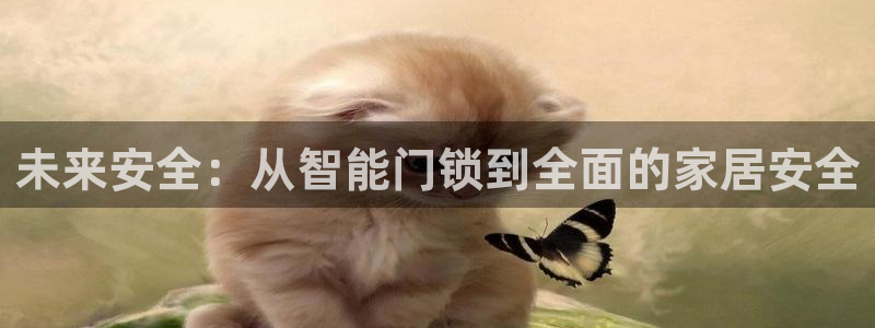 宝金年会：未来安全：从智能门锁到全面的家居安全