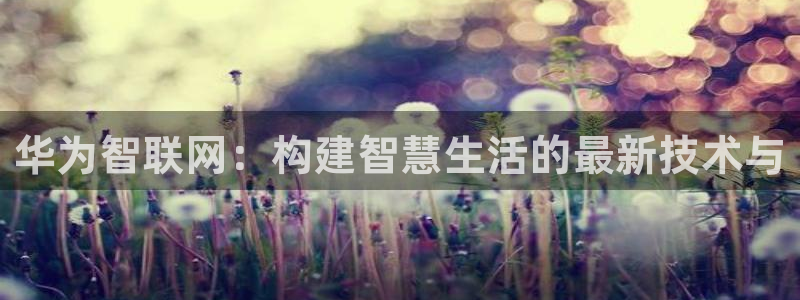 世纪金源年会：华为智联网：构建智慧生活的最新技术与