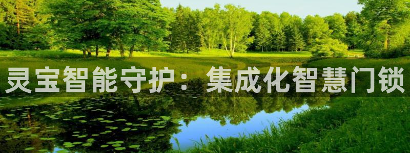 金年会体育app下载：灵宝智能守护：集成化智慧门锁