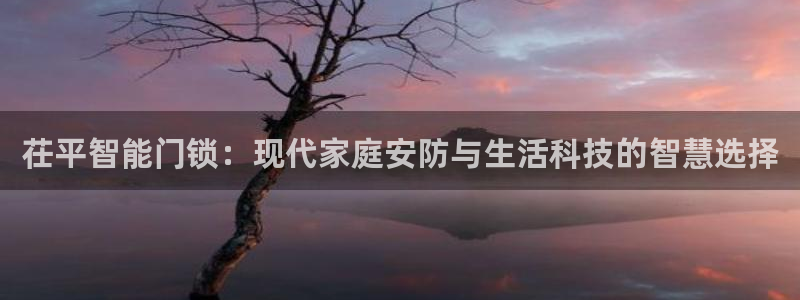 金年会娱乐-平台登录：茌平智能门锁：现代家庭安防与生活科技的
