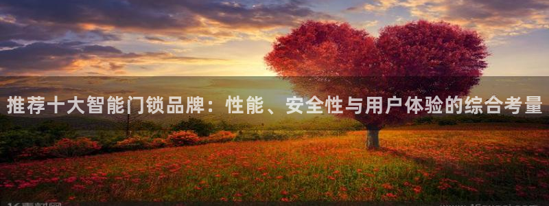 金年会体育官网：推荐十大智能门锁品牌：性能、安全性与用户体验