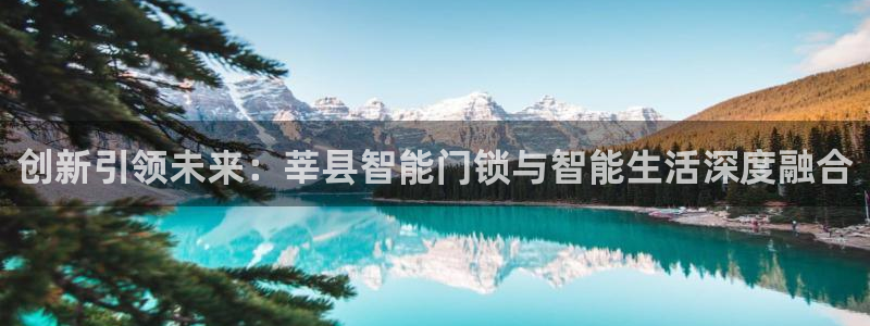 金年会这个平台：创新引领未来：莘县智能门锁与智能生活深度融合
