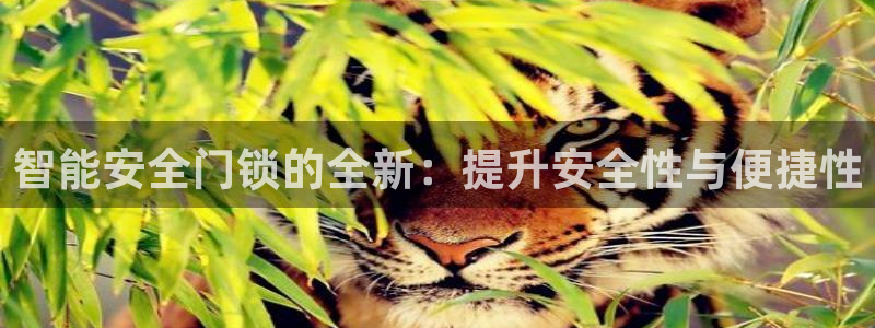 金年会平台：智能安全门锁的全新：提升安全性与便捷性