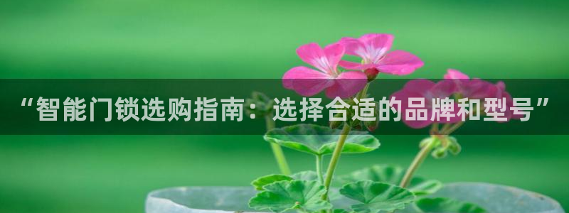 金年会游戏：“智能门锁选购指南：选择合适的品牌和型号”