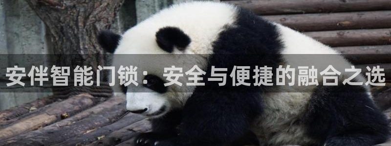 金年会金年华：安伴智能门锁：安全与便捷的融合之选