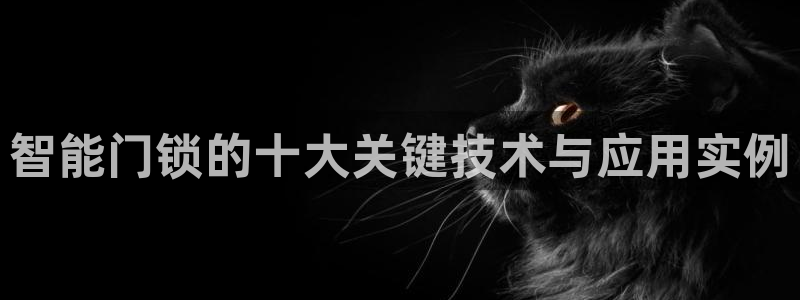 金年会 信誉至上：智能门锁的十大关键技术与应用实例
