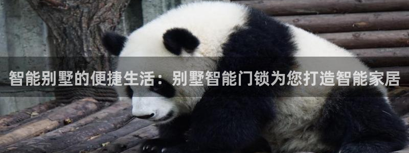 金升年会