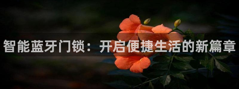 金年会入口：智能蓝牙门锁：开启便捷生活的新篇章