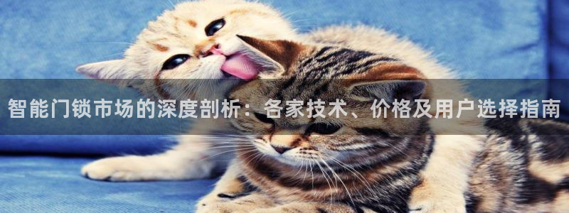 金靖年会：智能门锁市场的深度剖析：各家技术、价格及用户选择指