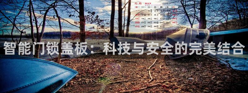 金年会jinnian：智能门锁盖板：科技与安全的完美结合