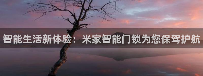 金实年会：智能生活新体验：米家智能门锁为您保驾护航