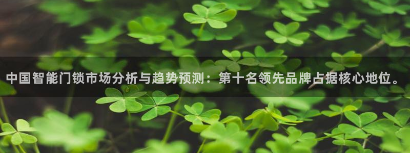 金年会体育app下载：中国智能门锁市场分析与趋势预测：第十名