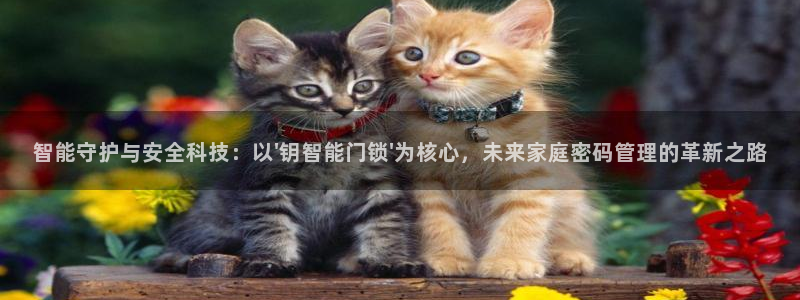 澳门金年会棋牌：智能守护与安全科技：以\'钥智能门锁\'为核