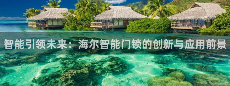 金年会手机网页登录：智能引领未来：海尔智能门锁的创新与应用前