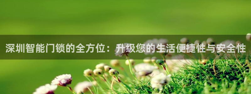 金年会app：深圳智能门锁的全方位：升级您的生活便捷性与安全