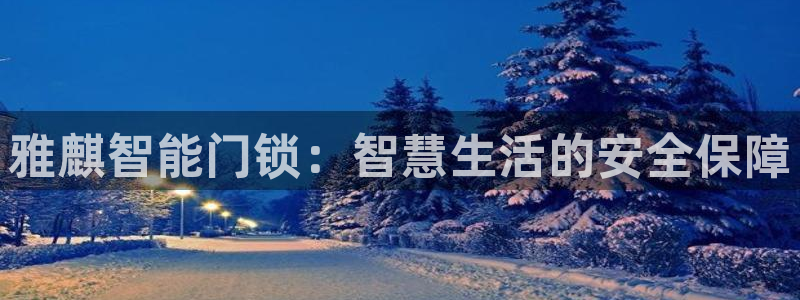 金年会在线：雅麒智能门锁：智慧生活的安全保障