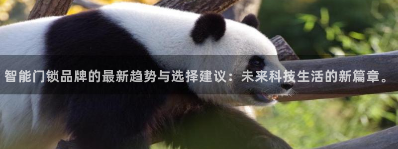 年会金句心得：智能门锁品牌的最新趋势与选择建议：未来科技生活