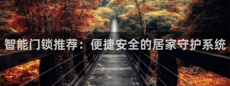 金年会平台是什么：智能门锁推荐：便捷安全的居家守护系统