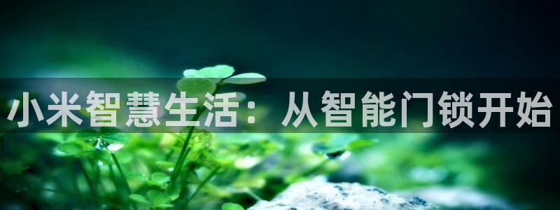 金年会娱乐app：小米智慧生活：从智能门锁开始