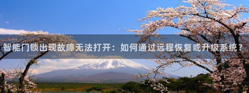 今年会送彩金28：智能门锁出现故障无法打开：如何通过远程恢复