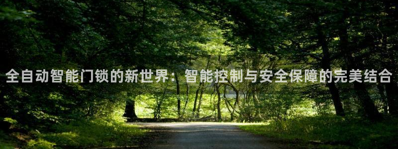 金年会 1080P：全自动智能门锁的新世界：智能控制与安全保