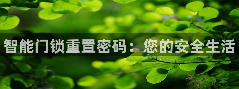 金年会平台包赔：智能门锁重置密码：您的安全生活