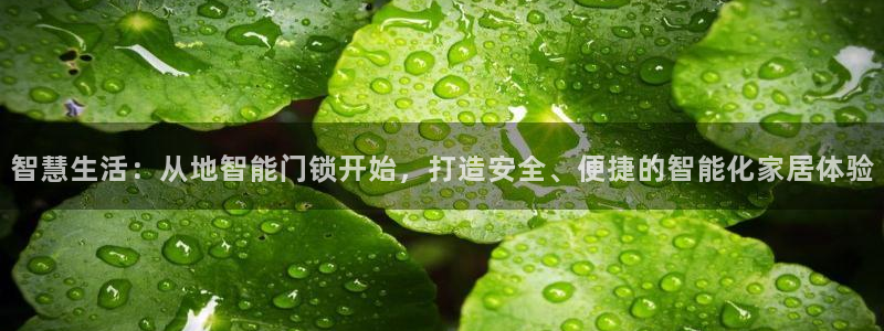 金年会官方客服电话：智慧生活：从地智能门锁开始，打造安全、便