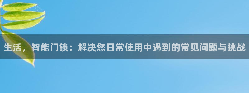 金年会体育平台入口：生活，智能门锁：解决您日常使用中遇到的常