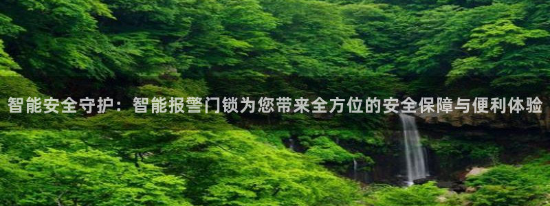 金年会网页：智能安全守护：智能报警门锁为您带来全方位的安全保