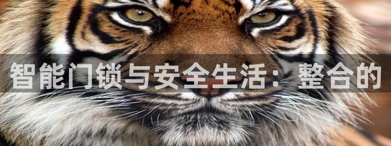 年会金：智能门锁与安全生活：整合的