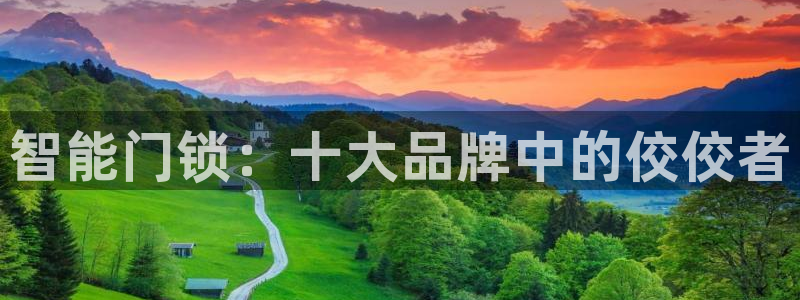 金年会网官网新版：智能门锁：十大品牌中的佼佼者