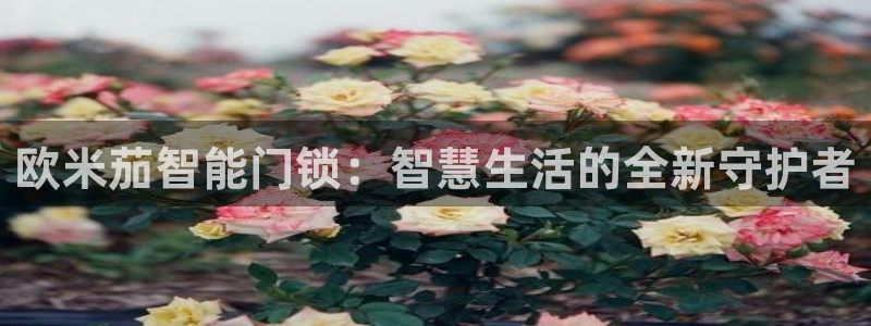 金年会官方网站入口：欧米茄智能门锁：智慧生活的全新守护者