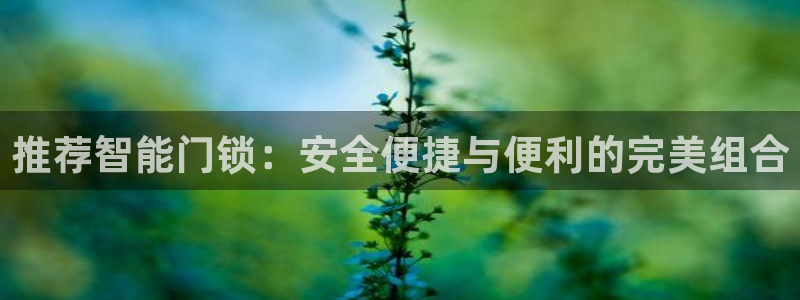 金年会金字招牌下载：推荐智能门锁：安全便捷与便利的完美组合