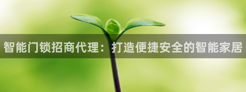 金年会体育平台官网：智能门锁招商代理：打造便捷安全的智能家居