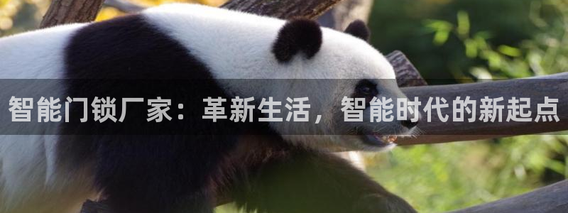 金年会网页：智能门锁厂家：革新生活，智能时代的新起点