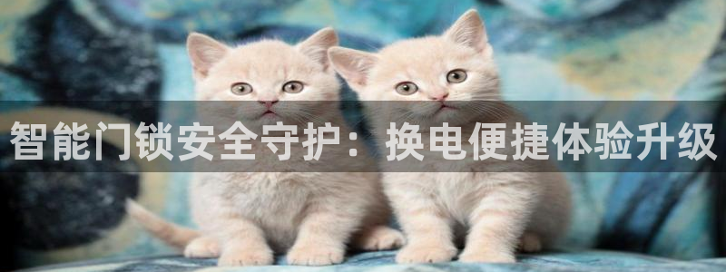 金年会官方在线登录：智能门锁安全守护：换电便捷体验升级