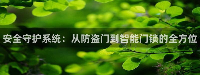 金年会登陆：安全守护系统：从防盗门到智能门锁的全方位