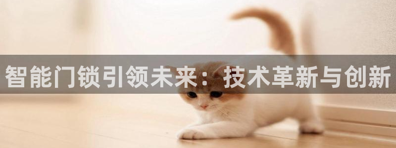 金年会app桌面：智能门锁引领未来：技术革新与创新