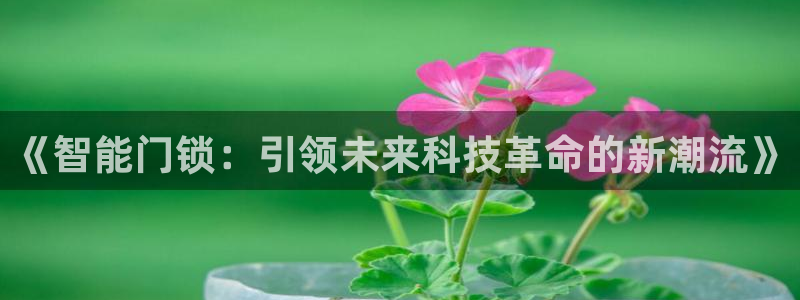 金年会手机网页版登录：《智能门锁：引领未来科技革命的新潮流》