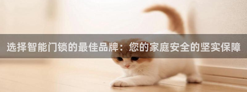 金汉江年会：选择智能门锁的最佳品牌：您的家庭安全的坚实保障