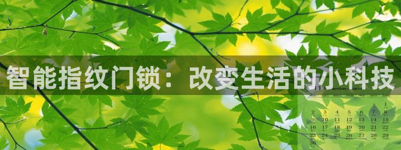 金年会会：智能指纹门锁：改变生活的小科技