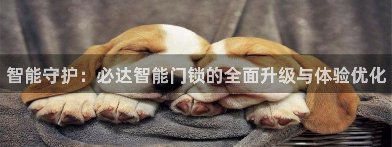 金年会注册：智能守护：必达智能门锁的全面升级与体验优化
