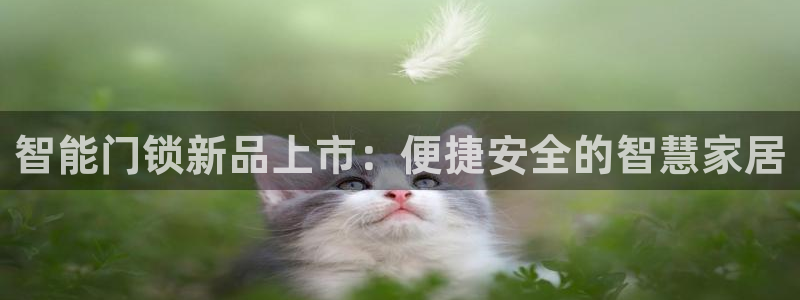 金立年会：智能门锁新品上市：便捷安全的智慧家居