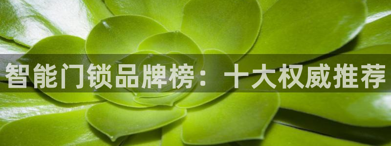 金年会金字招牌诚信：智能门锁品牌榜：十大权威推荐