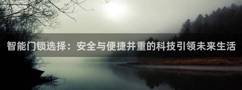 金年会会：智能门锁选择：安全与便捷并重的科技引领未来生活