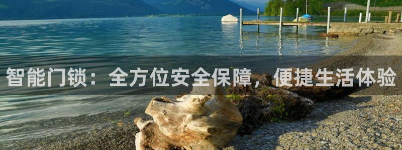 金年会官网入口：智能门锁：全方位安全保障，便捷生活体验