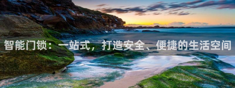 金年会官网登入：智能门锁：一站式，打造安全、便捷的生活空间